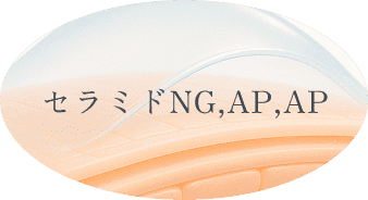 セラミドNG,AP,AP