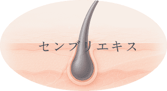 センブリエキス